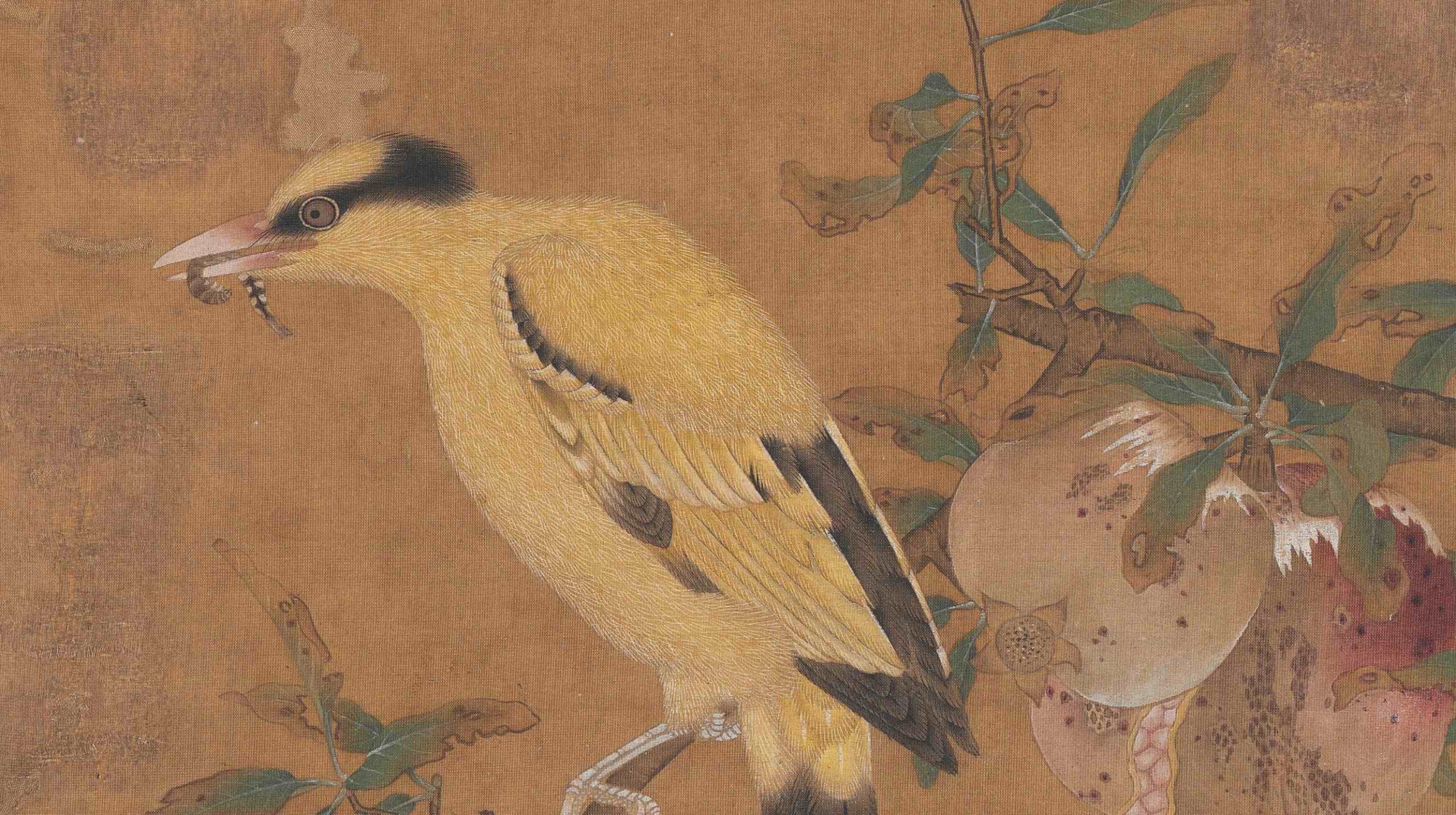 榴枝黄鸟图页
